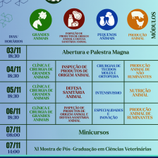 Cronograma